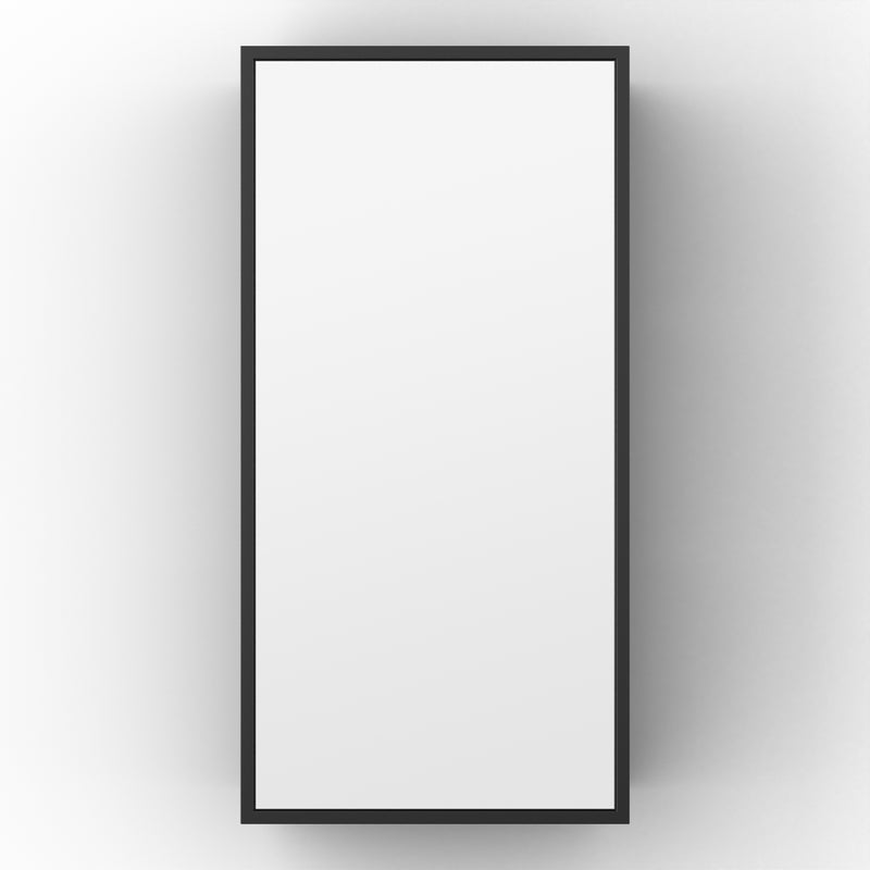 Origins Living Dockside Mirror With Open Shelving 30x60cm - Black