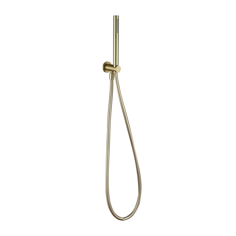 Lux Handset Shower Set - Brushed Brass