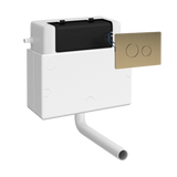 Nuie Dual Flush Universal Access Concealed Cistern With Pneumatic Fittings & Polystyrene Shroud - With Brushed Brass Flush Plate