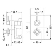 Hudson Reed Tec Lever 1 Outlet Twin Handle Concealed Thermostatic Shower Valve - Brushed Brass